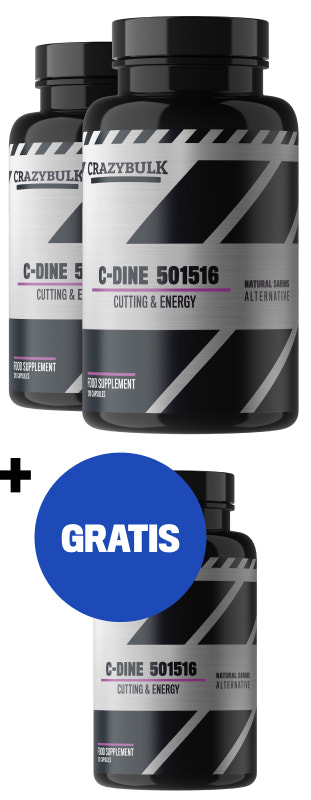 2 måneder + 1 måned gratis