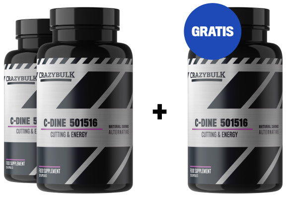 2 måneder + 1 måned gratis