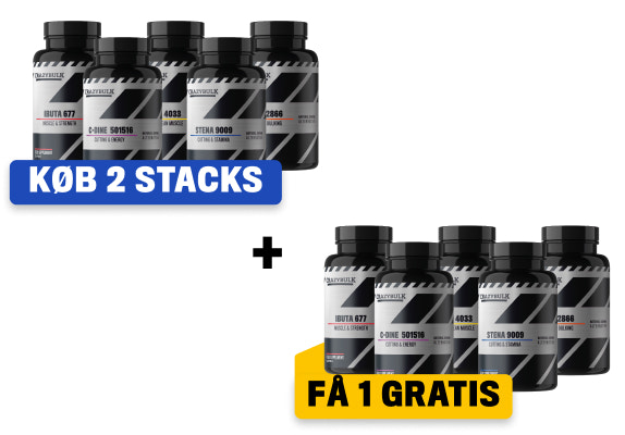 2 måneder + 1 måned gratis